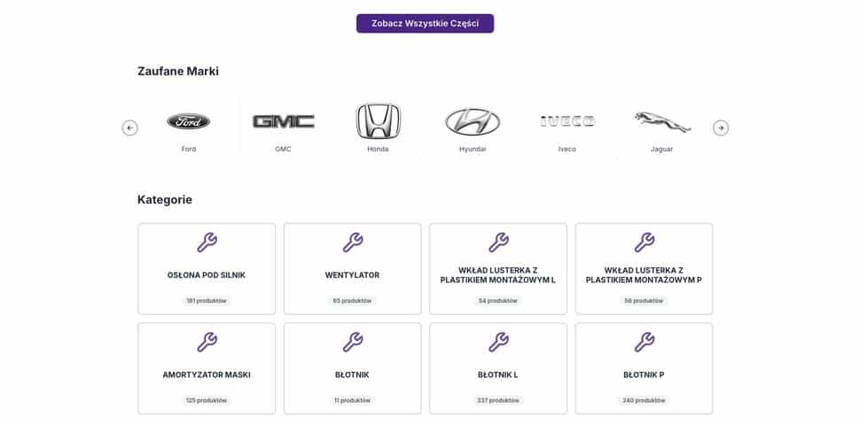 Kamil Szczepanik's project portfolio - project image